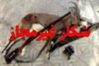 دستگیری متخلف شکار و صید در حاجی آباد هرمزگان