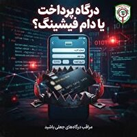 افزایش کلاهبرداری‌های اینترنتی در فضای مجازی