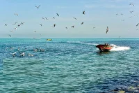 شجاعت مردم جنوب نماد ایستادگی ملت ایران